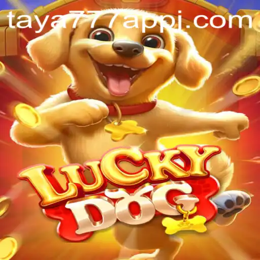 Exploring the Exciting World of LuckyDog on the Taya777 App